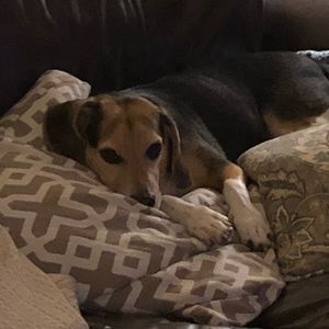 Meet your Posher, Beverly